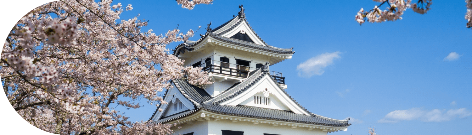 里見茶屋について