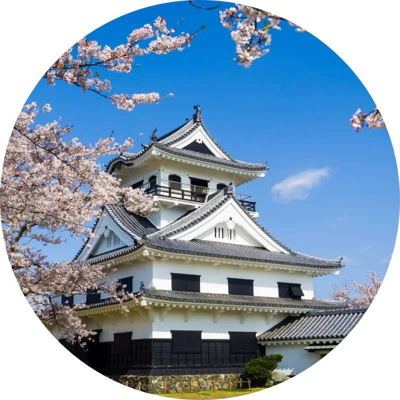 館山城を眺めながら